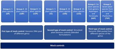 A combined approach of DNA metabarcoding collectively enhances the detection efficiency of medicinal plants in single and polyherbal formulations